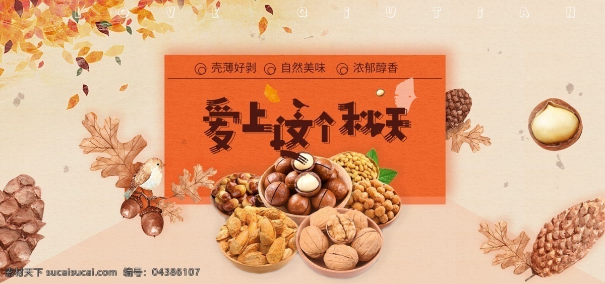 秋季 促销 橙色 坚果 枫叶 榛子 海报 banner 淘宝