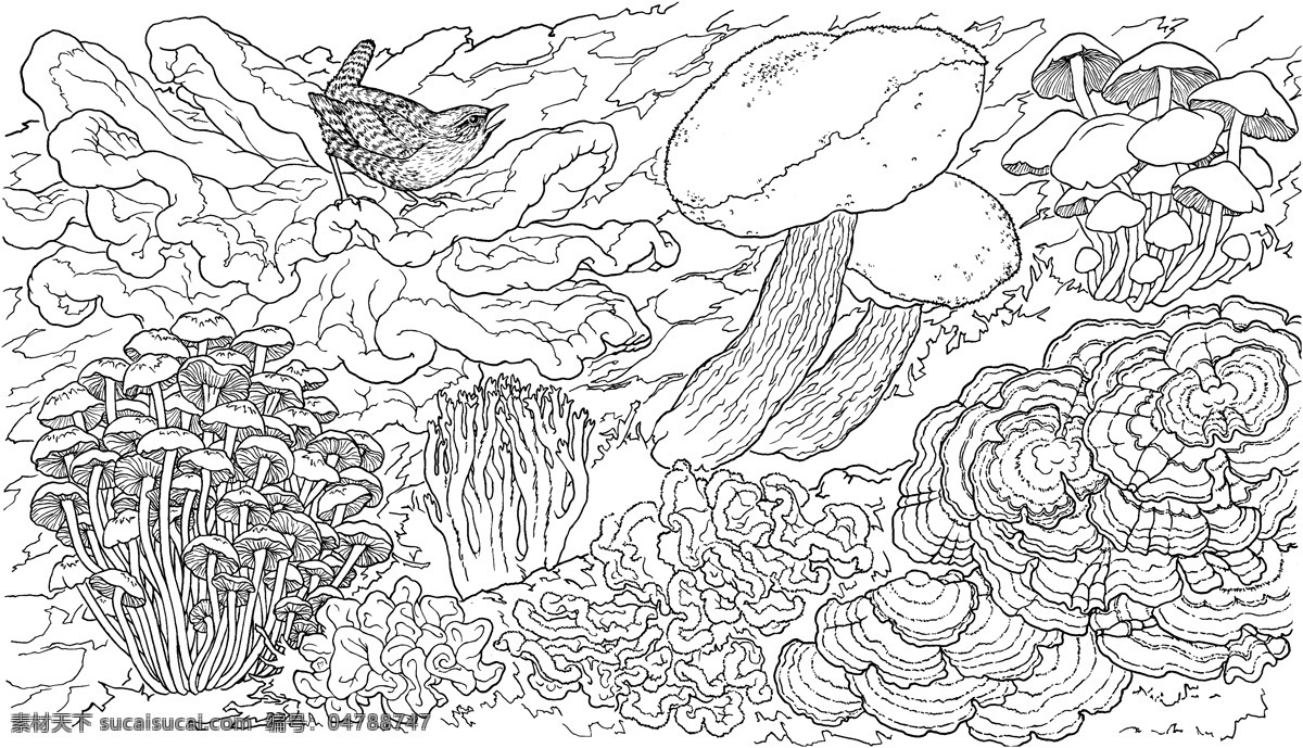 蘑菇 植物 菌类 设计素材 静物专辑 素描速写 书画美术 白色
