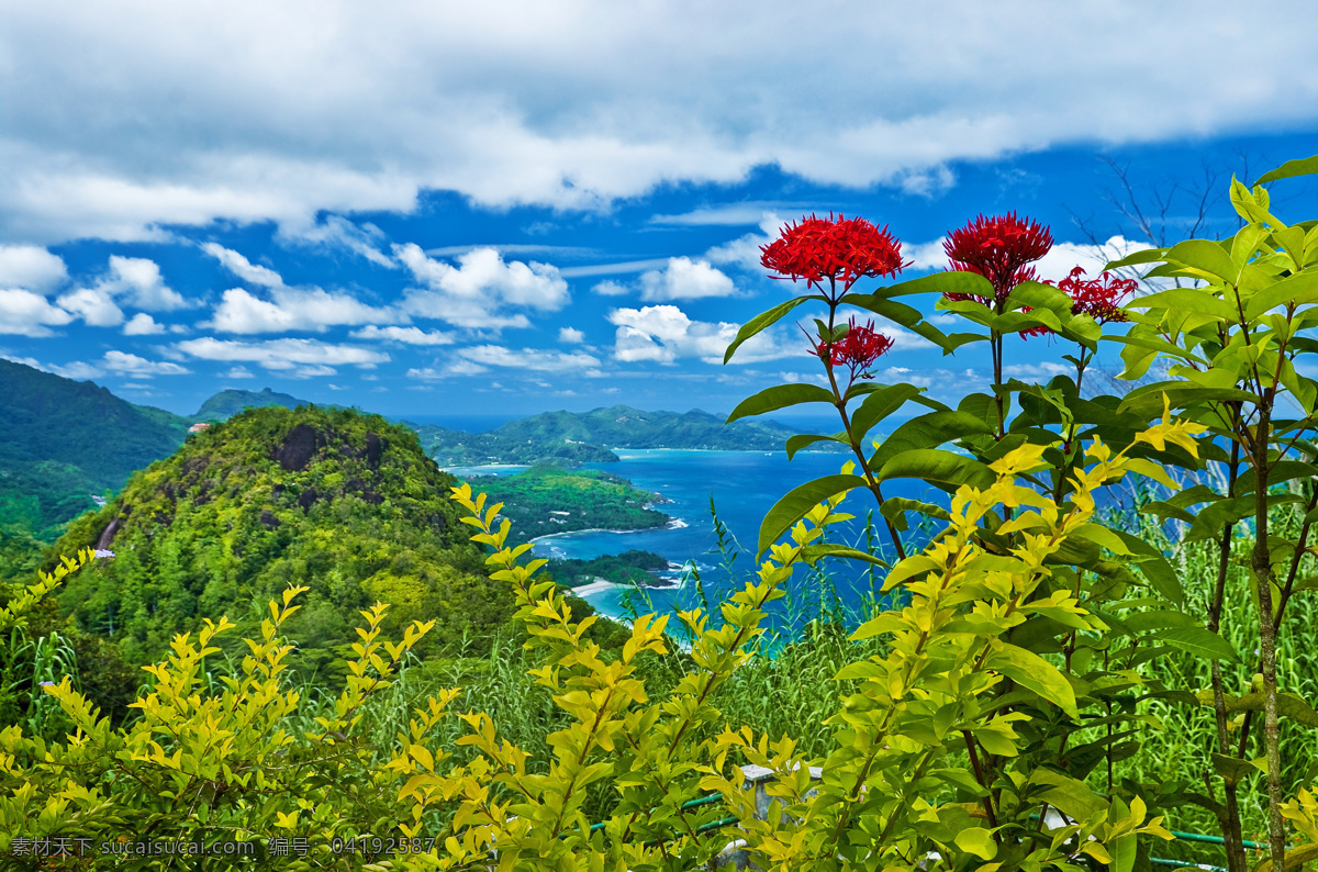 山顶 鲜花 风景 山坡 花朵 景色 风景摄影 自然美景 美丽风景 自然风景 自然景观 山水风景 风景图片