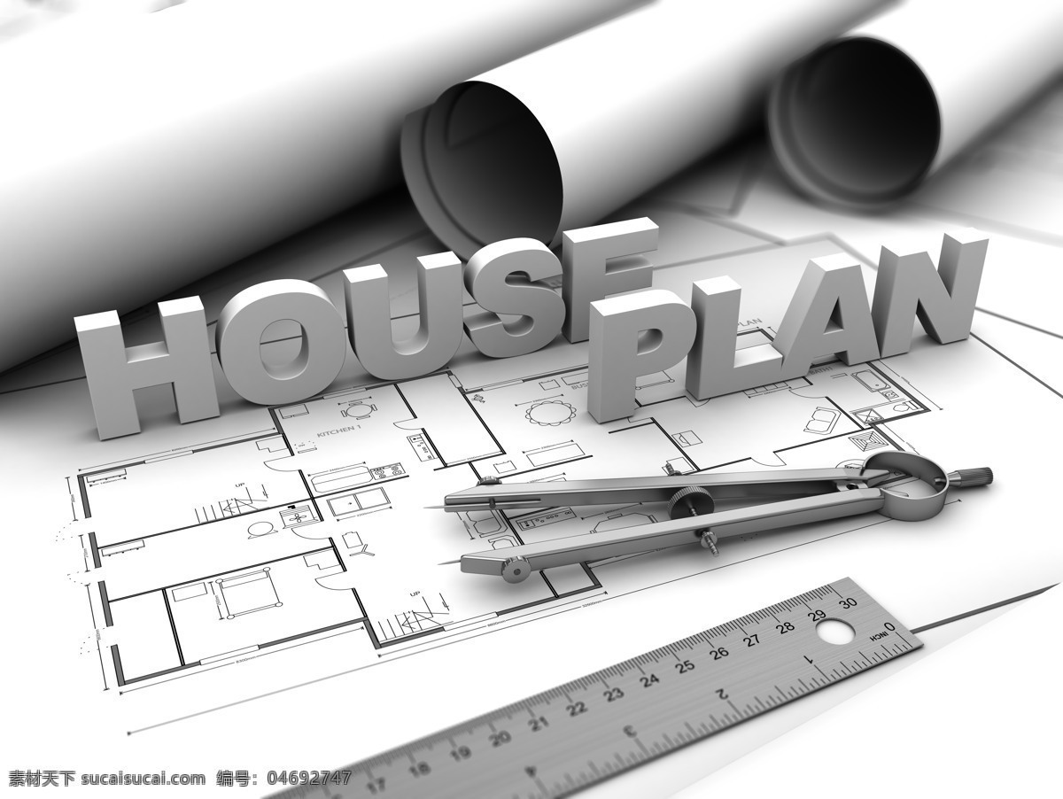 房屋设计图纸 图纸 房屋 灰色调 安静 3d设计 3d作品