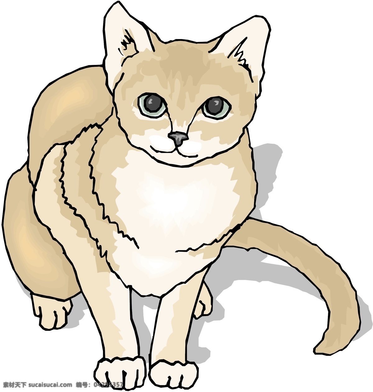 宠物猫 矢量素材 格式 eps格式 设计素材 宠物世界 矢量动物 矢量图库 白色