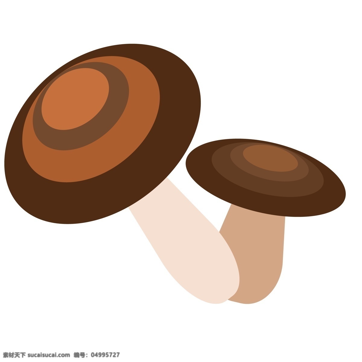 两个蘑菇食物 食物 食材 蘑菇食材 营养食材 营养蘑菇