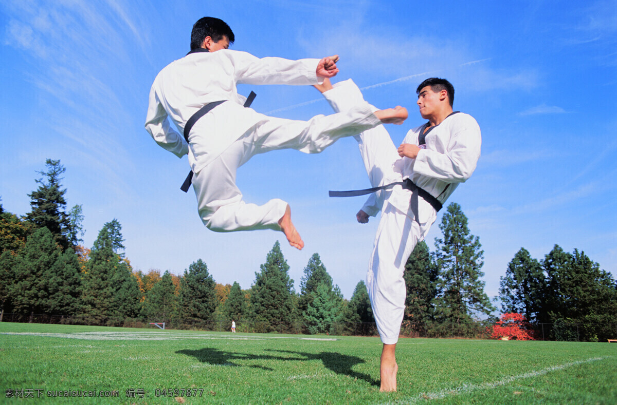 搏击 武术 柔道 对打 草地 树木 人物 踢 跳起 文化艺术 体育运动 体育项目 摄影图库