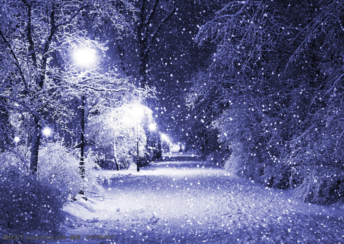 雪景 美景 自然 风景 雪花 路灯 大树 公园 下雪 冬天 景观 冬季 雪地 梦幻 夜景 灯光 树林 鹅毛大雪 美丽自然 自然风景 自然景观