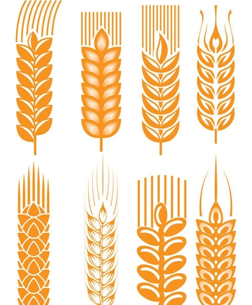 麦穗稻穗 麦穗 稻穗 小麦 金黄 丰收 收获 粮食 农作物 农产品 植物 果实 矢量素材 其他矢量 矢量