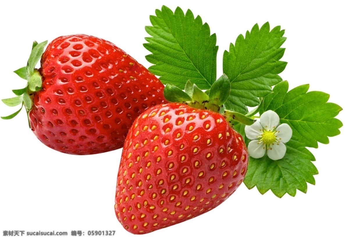 2颗草莓 草莓叶子 草莓小花 草莓带叶子 草莓带花 新鲜草莓 水果 水果类