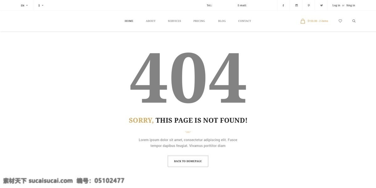 简约 网站 页面 模板 404页面 扁平化 网页模板 网页设计
