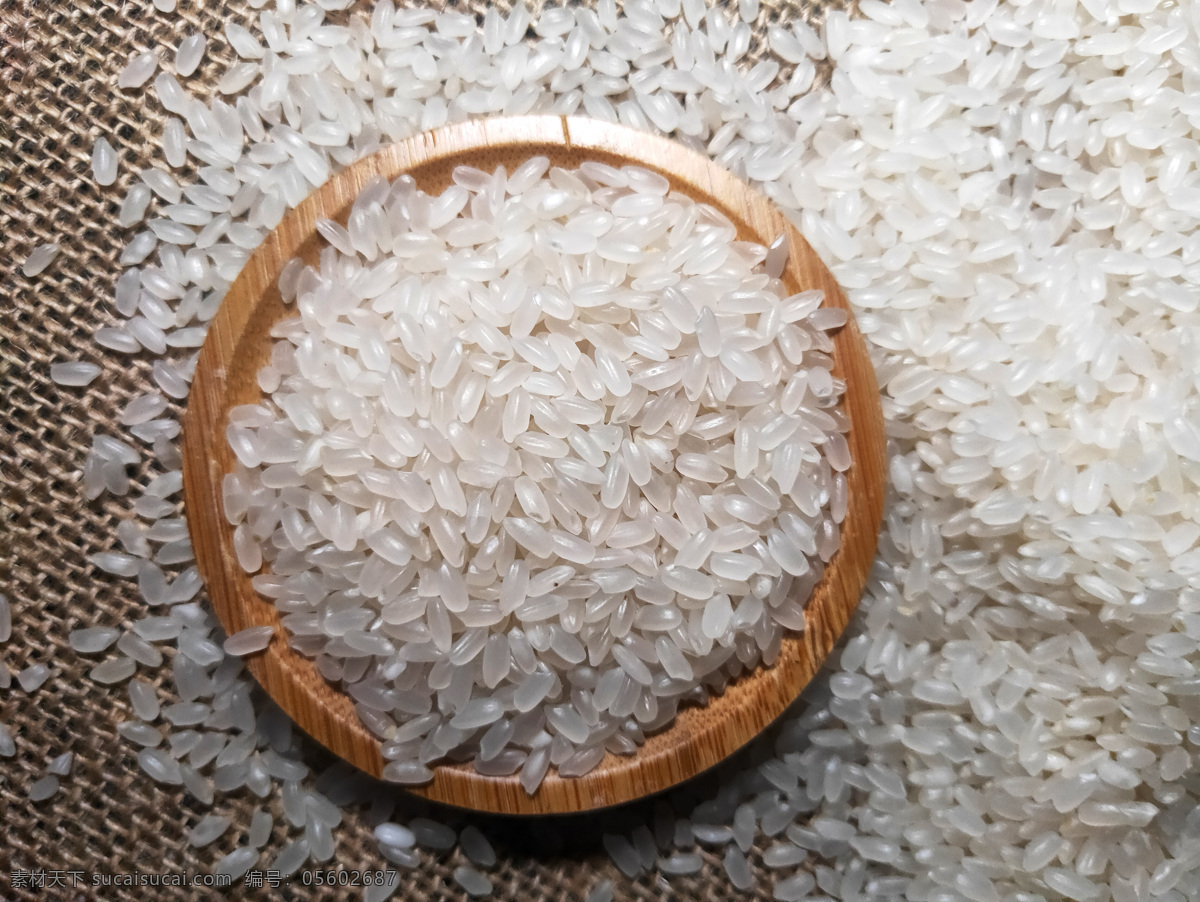 高清 装 盘大 米图 大米 稻米 粳米 珍珠米 东北大米 米 米粒 生态米 有机大米 蟹田大米 绿色大米 原生态大米 香米 五谷杂粮 食材原料 餐饮美食 食物原料