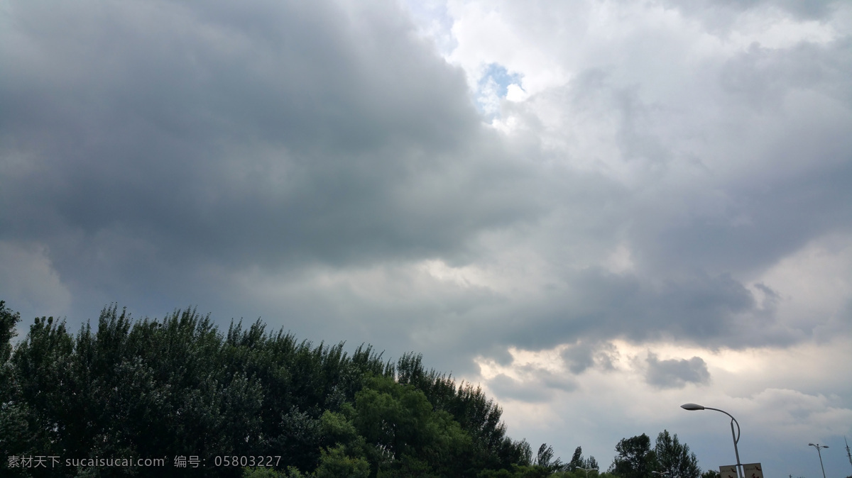 天空 中 积雨云 树木 自然 气象 自然风景 自然景观