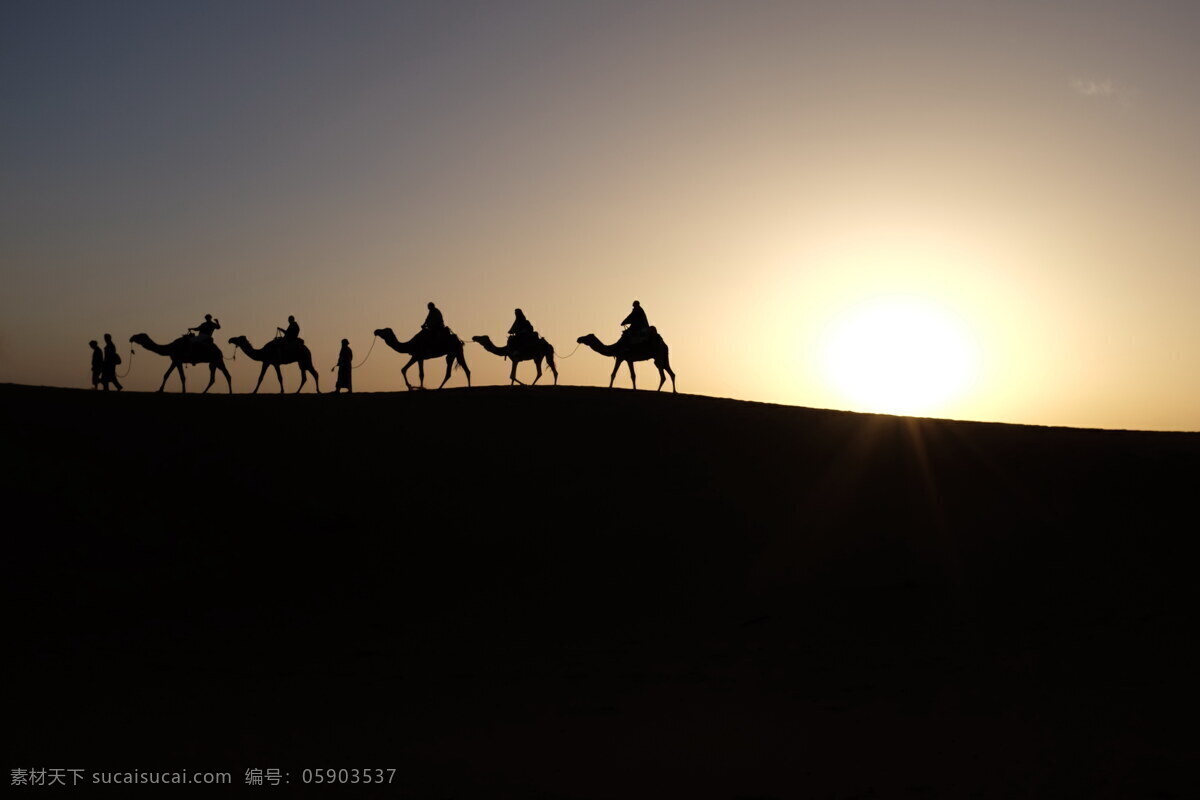 骆驼沙漠 骆驼 沙漠 沙漠之舟 骆驼队 荒漠 沙丘 荒漠化 沙 日出 太阳 天空 日出沙漠 动物 人 剪影 旅行 沙漠风光 风景图 自然景观 自然风景