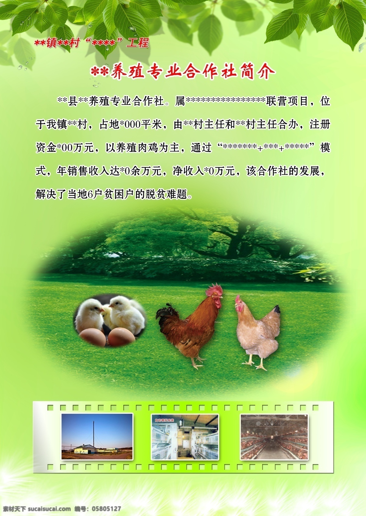 养殖场 简介 海报 饲料 绿色 背景 肉鸡 交卷类 广告设计模板 源文件