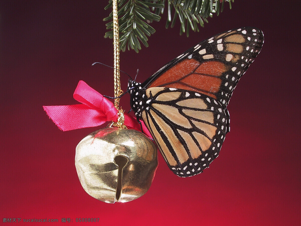 停留 铃铛 上 蝴蝶 动物 昆虫 圣诞节 花蝴蝶 蝴蝶结 节日 精致 欢乐 昆虫世界 生物世界