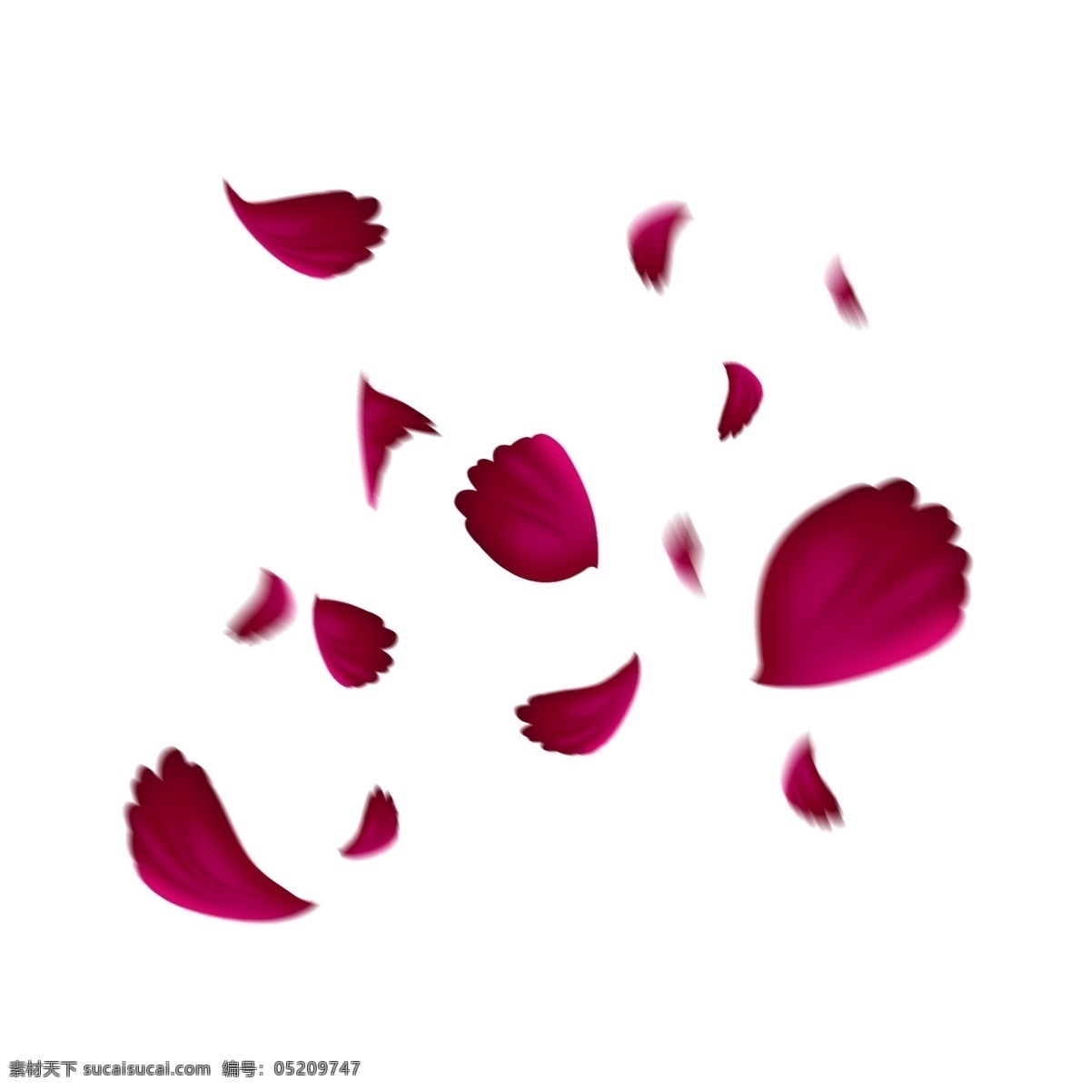飘浮 飘落 玫瑰 花瓣 海报 唯美 浪漫 情人节 七夕 飘浮的花瓣 玫瑰花瓣 海报装饰 海报素材 页面装饰 飘落的花瓣 飘浮素材 花瓣免扣 花瓣素材