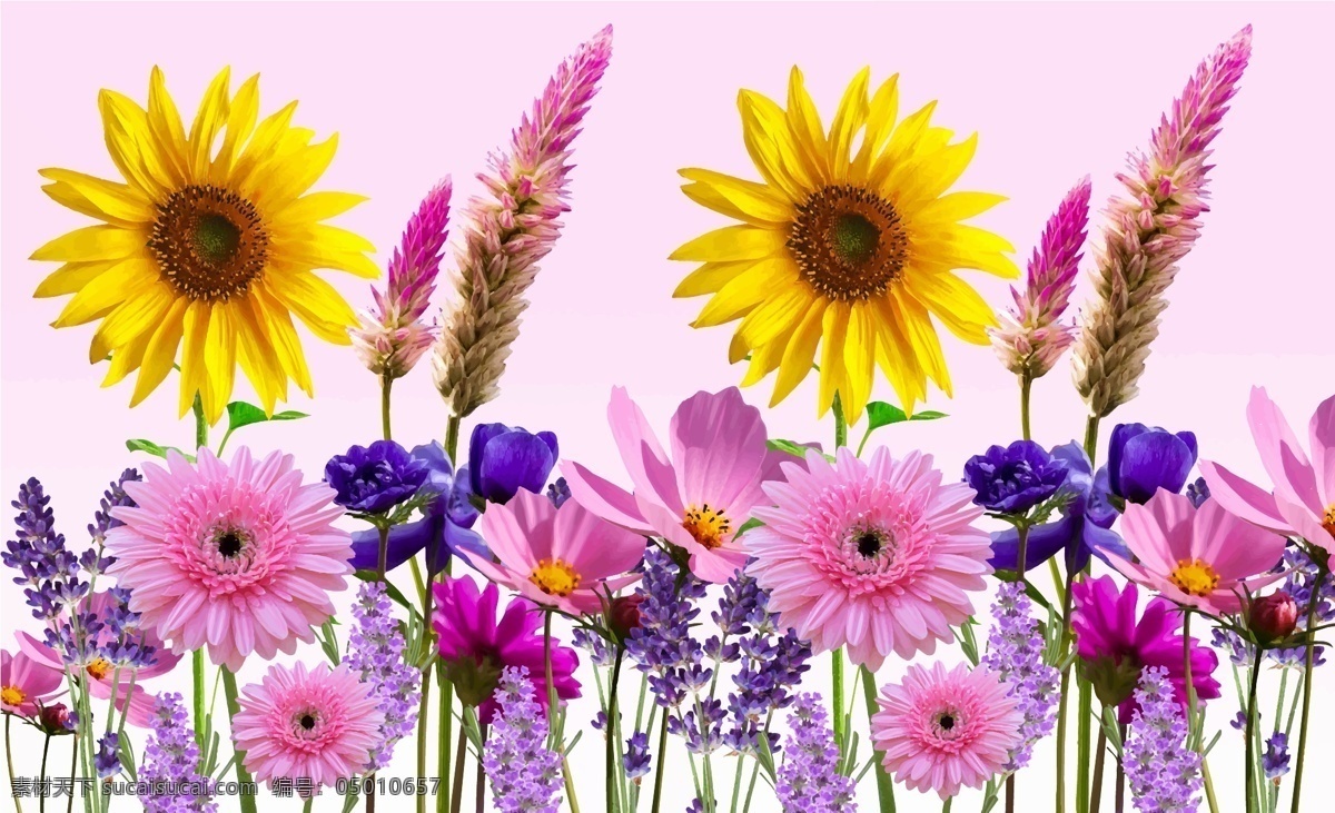花 手绘鲜花 向日葵 花田 花圃 花海 菊花 薰衣草 粉色鲜花 黄色鲜花 花瓣 紫色鲜花 自然景观 自然风光