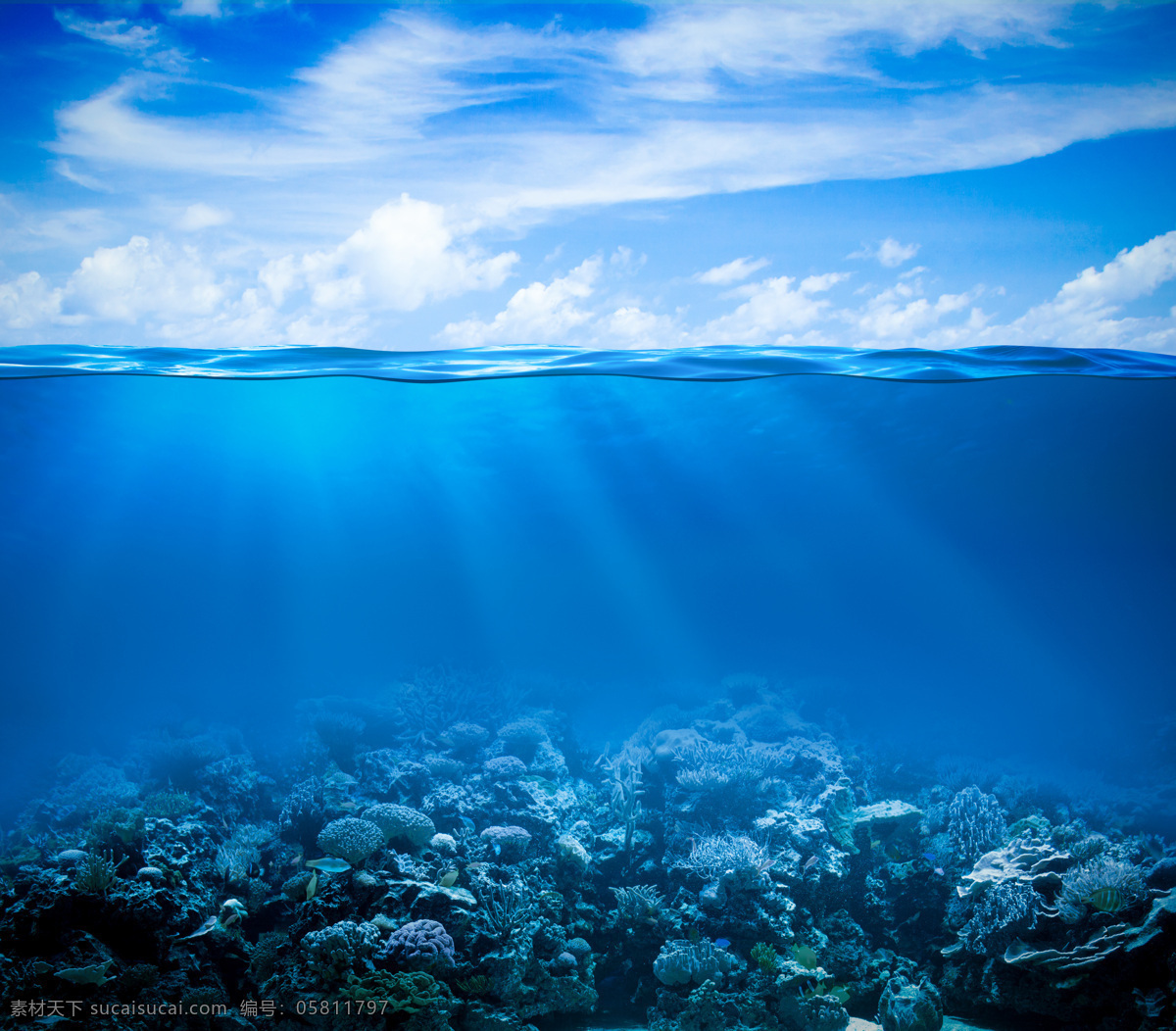 大海 海洋 清澈 海水 热带鱼 鱼群 珊瑚礁 热带 蓝天 白云 阳光 梦幻 海洋摄影 自然景观 自然风景