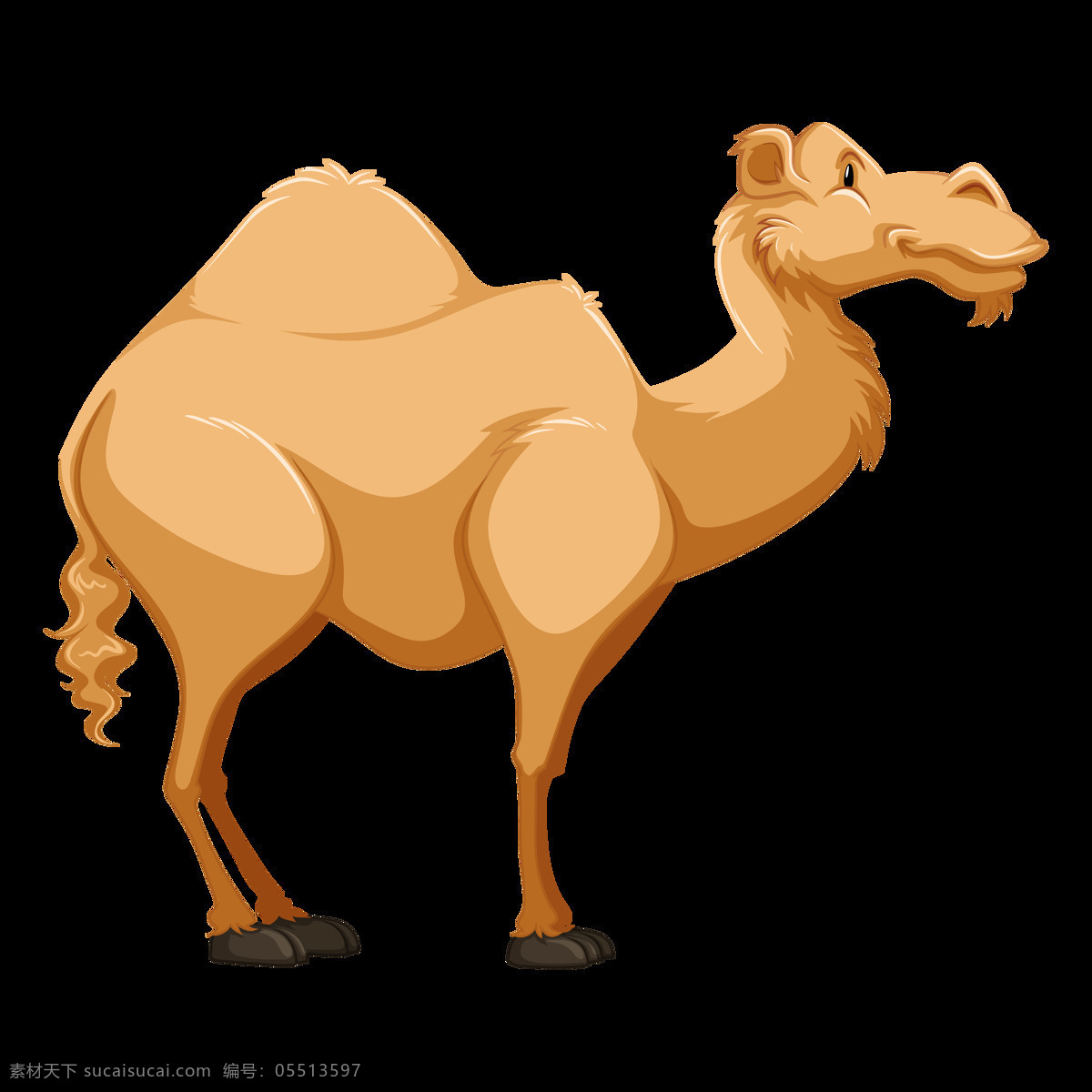 透明底骆驼 骆驼图片 卡通骆驼 png图