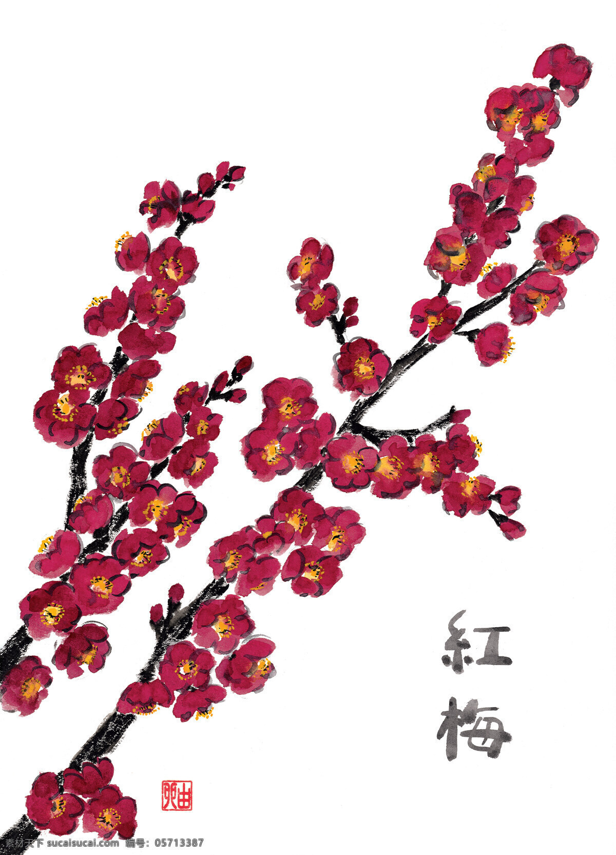 花卉图案 花草图案 花草插图 设计素材 植物插图 书画美术 白色