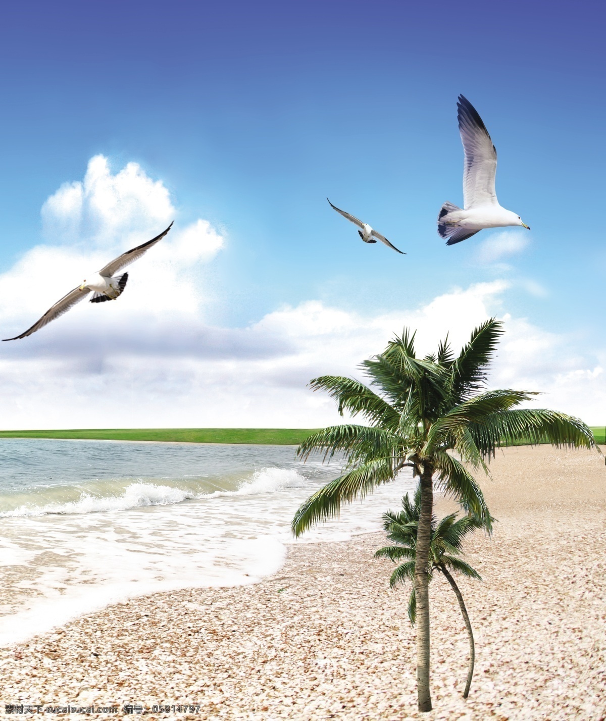 海鸥翱翔移门 海鸥翱翔 海鸥 大海 蓝天 沙滩 树 绿叶 白云 水 椰树 海天相接 鸟 白鸟 飞翔 海水 移门图案 广告设计模板 源文件