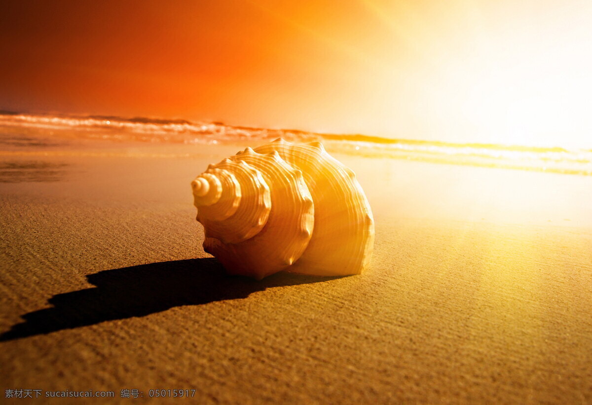 高清 唯美 黄昏 海边 海螺 非主流 沙滩