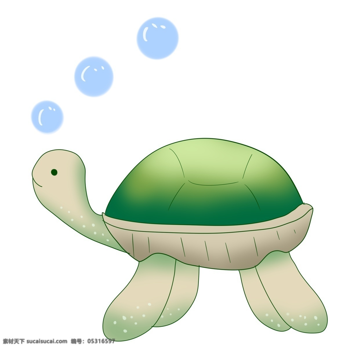 绿色海龟动物 海龟 海洋 生物