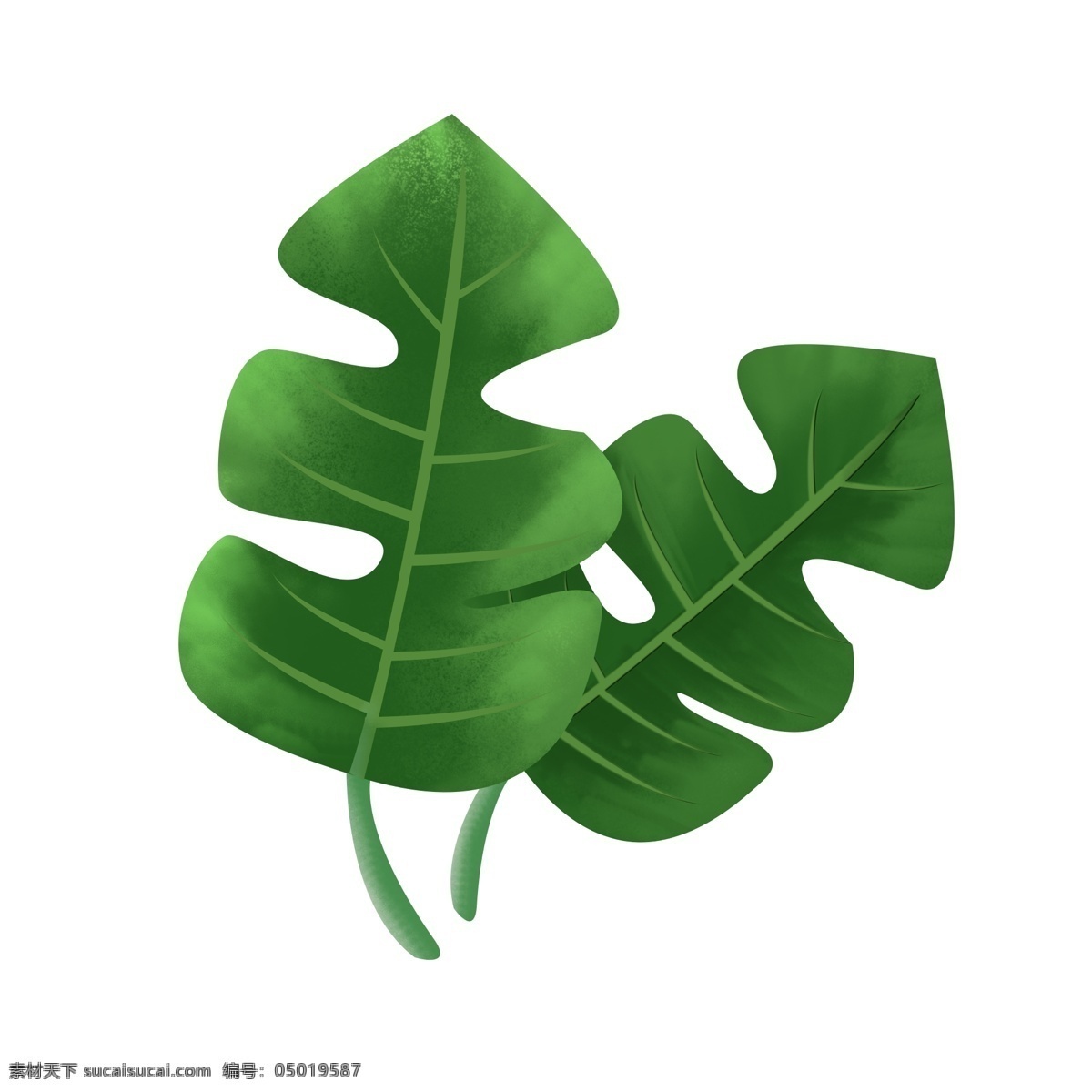 ps 手绘 绿叶 插画 元素 设计素材 绿色 叶子 可商用 热带 叶