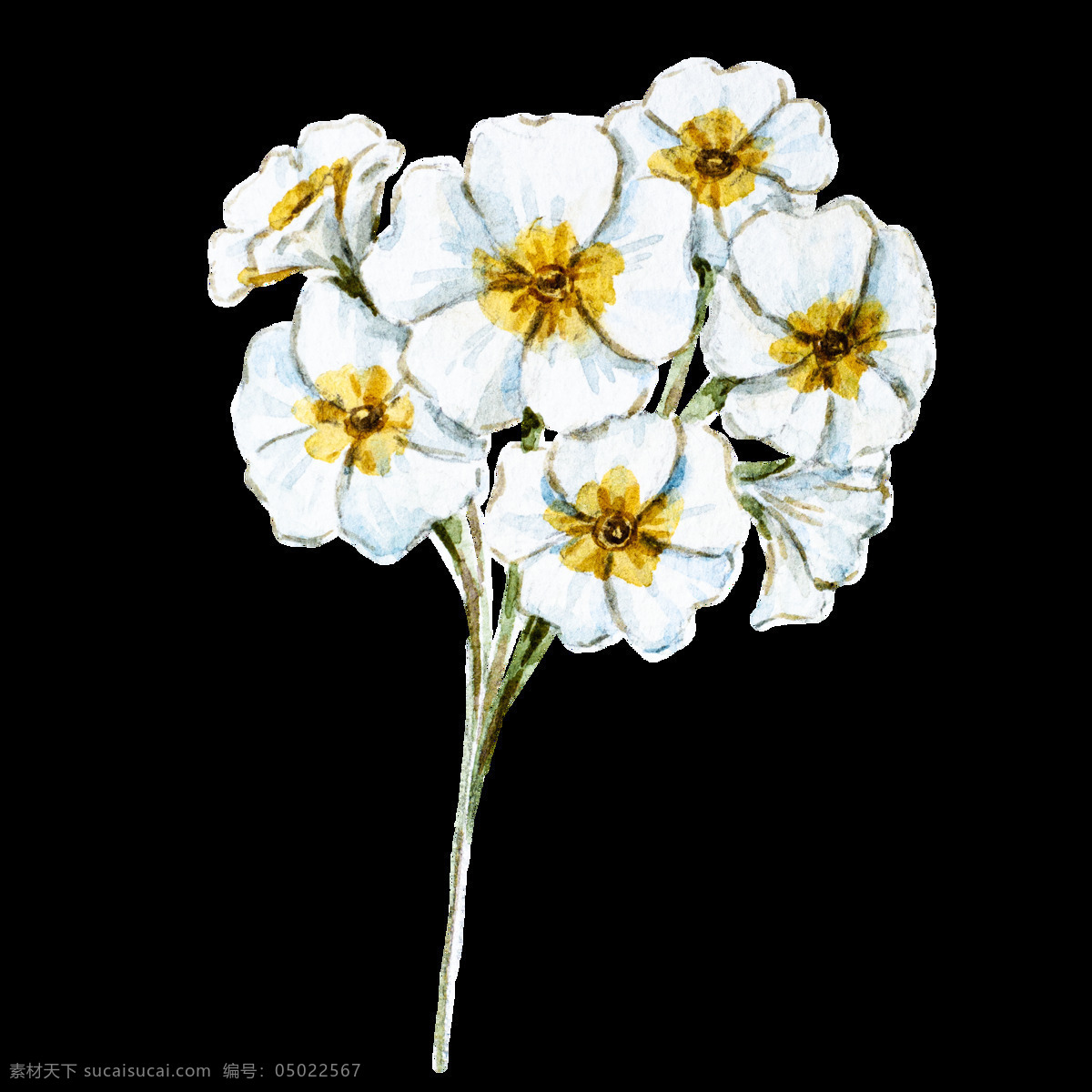 白兰 花朵 卡通 透明 花束 白色 透明素材 免扣素材 装饰图案