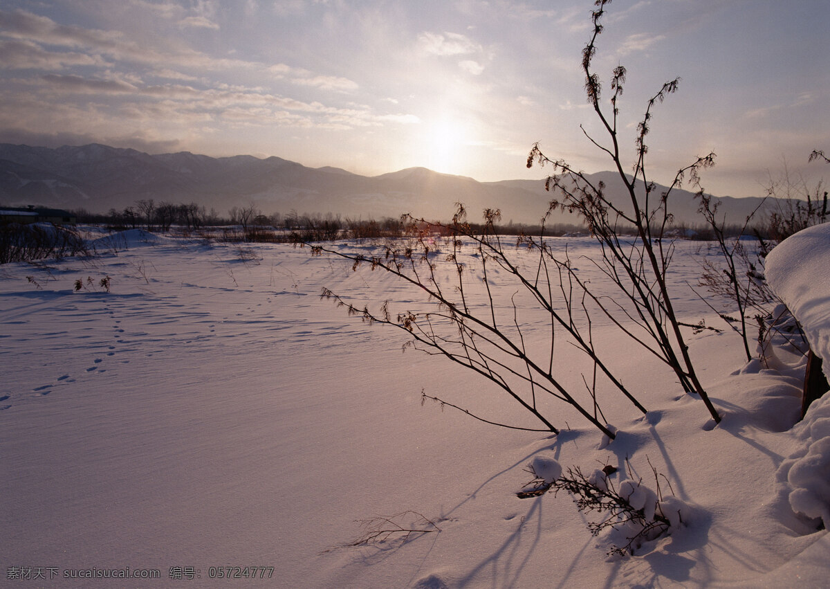 冰天雪地 冰雪 高清风景图片 林荫 秋天树林 森林 树干 树林 树枝 太阳 四季风光素材 晴空万里 夕阳 风景 生活 旅游餐饮