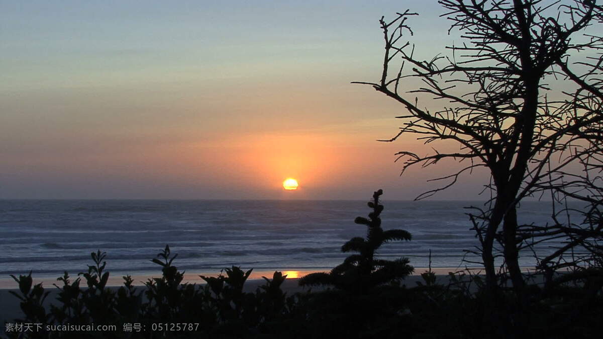 夕阳 俄勒冈 海岸 股票 视频 橙 海滩 海洋 美丽 明亮 日落 沙 设置 太阳 沙滩和岛屿 水 天空 其他视频