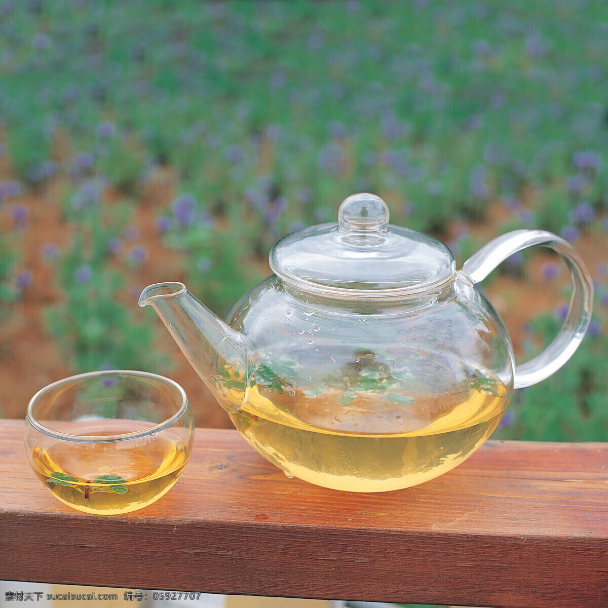 茶文化 杯子 餐饮美食 茶 花草茶 摄影图库 壶子