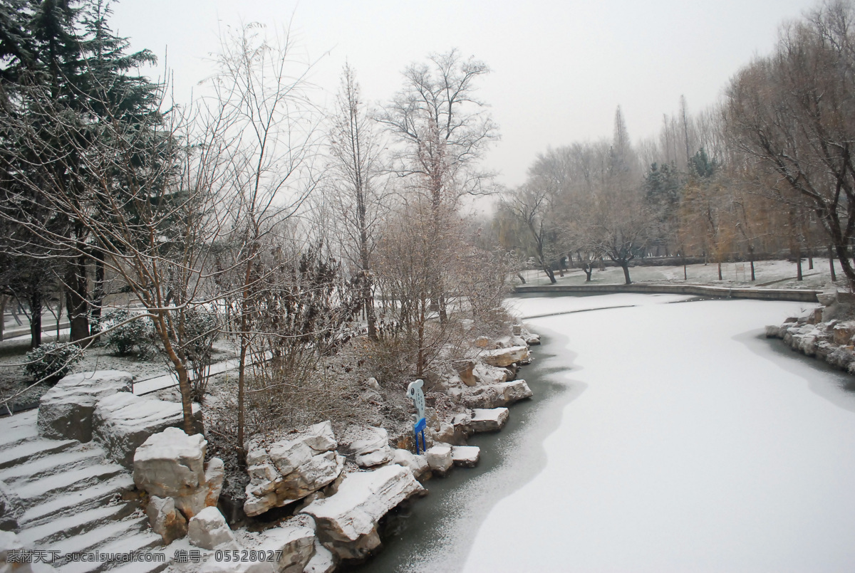 冬雪 凛冽 冬天 美景 镜头中的世界 生物世界 花草 灰色