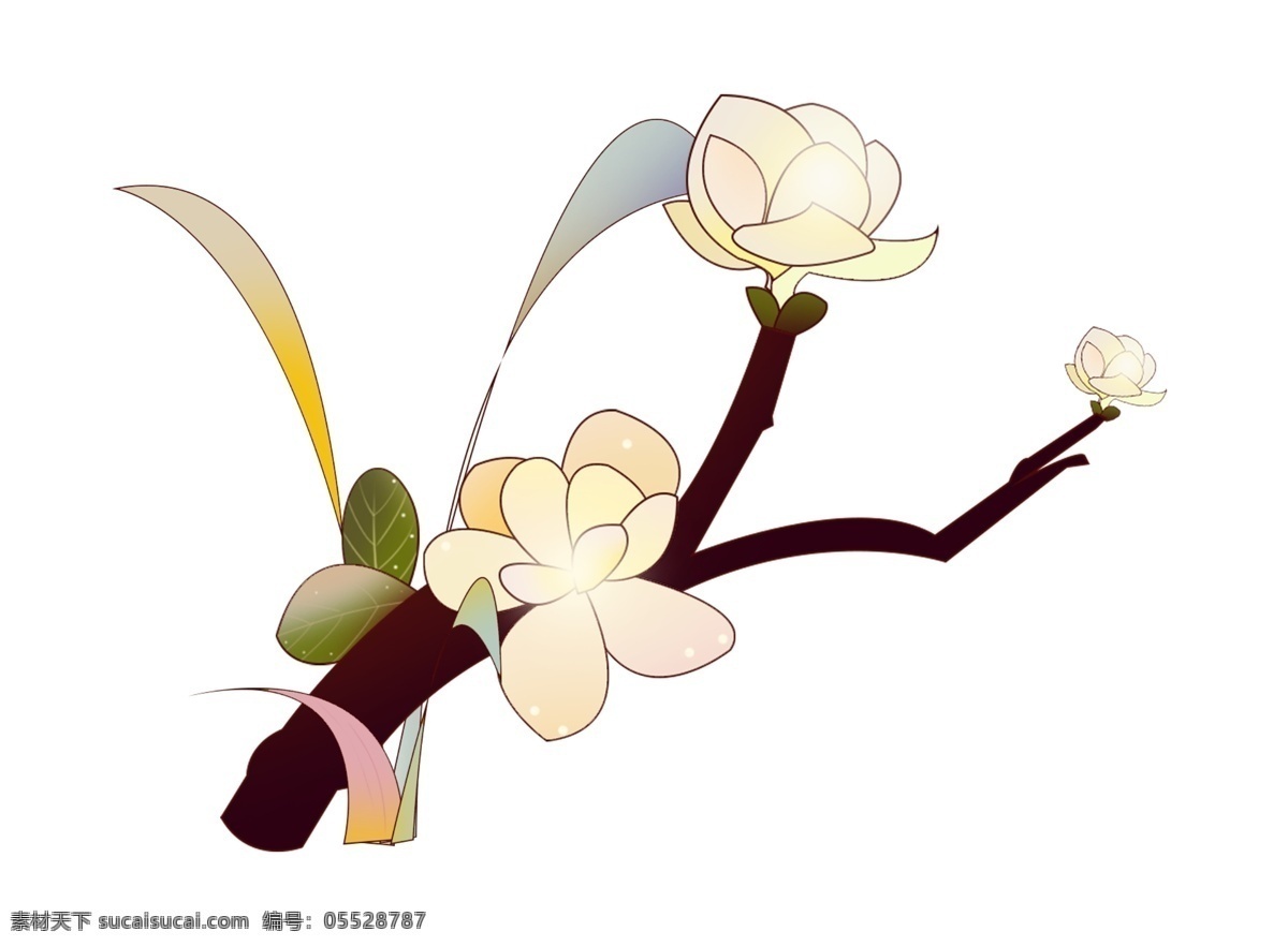 梨花 花朵 卡通 插画 白色的花朵 卡通插画 花朵插画 植物插画 鲜花花朵 花束 花瓣 梨花的花朵