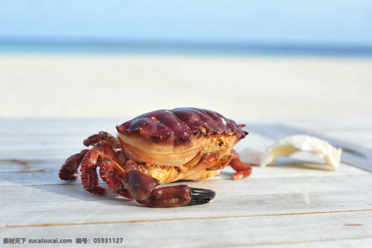 憨态可掬 红 螃蟹 赊涞暮祗 风景 生活 旅游餐饮