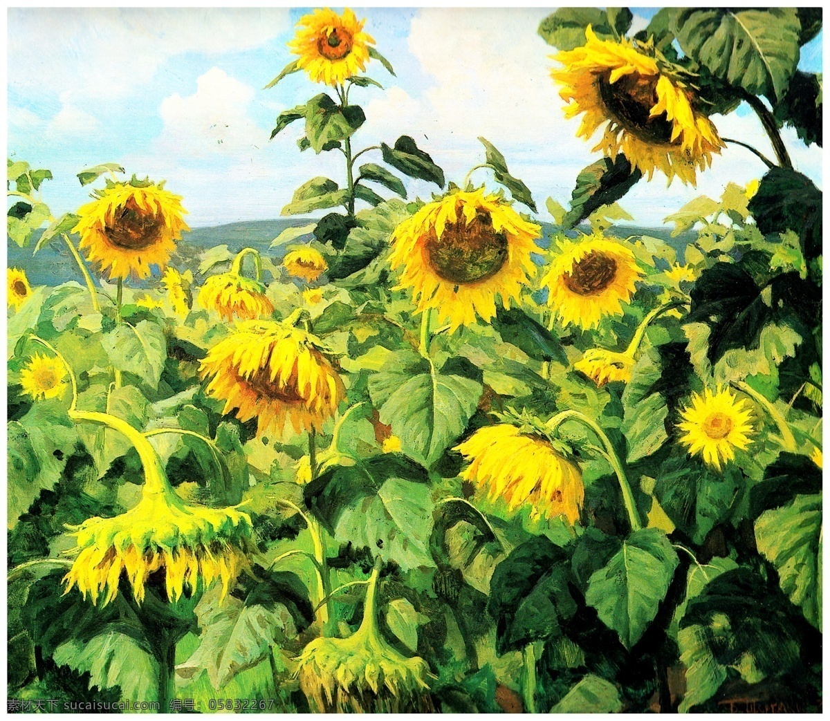 向日葵油画 向日葵 太阳花 向日葵花朵 绿叶 布面油画 油画集 绘画书法 文化艺术