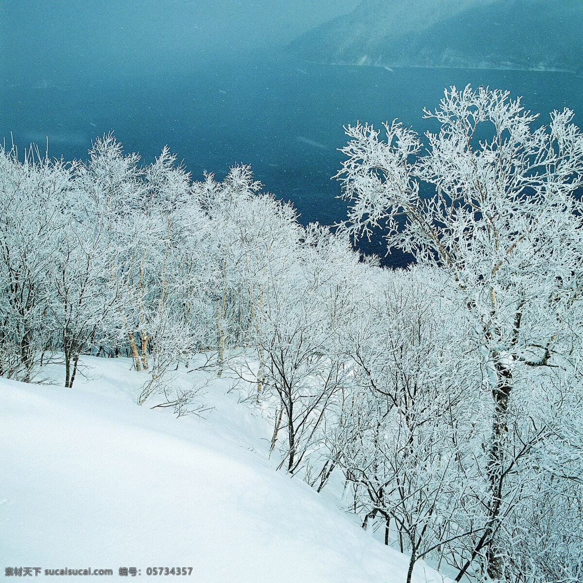 冬天 雪景 背景 冬天雪景 风光 风景 季节 摄影图库 自然 自然风景 自然景观 生活 旅游餐饮