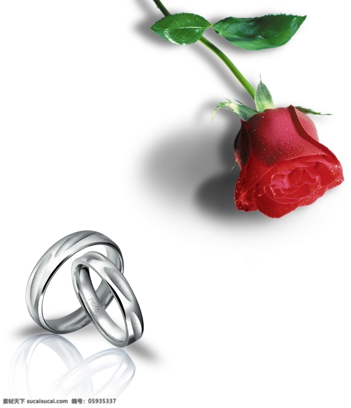 一生 相伴 白金 戒 模版下载 珠宝广告 白金戒指 结婚对戒 爱情玫瑰 广告设计模板 源文件