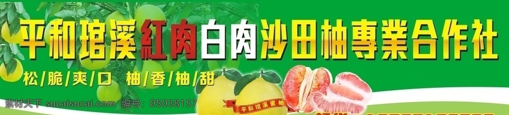 柚子招牌 柚子 柚子海报 水果招牌 沙田柚 绿色招牌