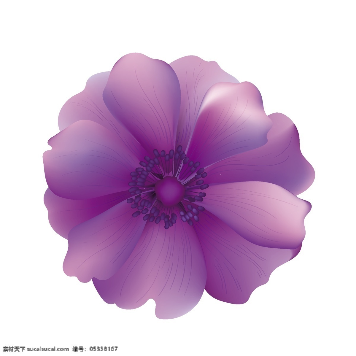 紫色 花朵 矢量 紫色的 紫色的花朵 浪漫 浪漫的花朵 神秘 神秘的花朵 可爱 可爱的花朵