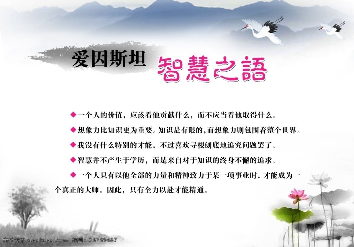 分层 爱因斯坦 荷花 价值 名言 企业管理 水墨画 文化 智慧 语 模板下载 智慧之语 仙鹤 宣传 海报 管理故事 源文件