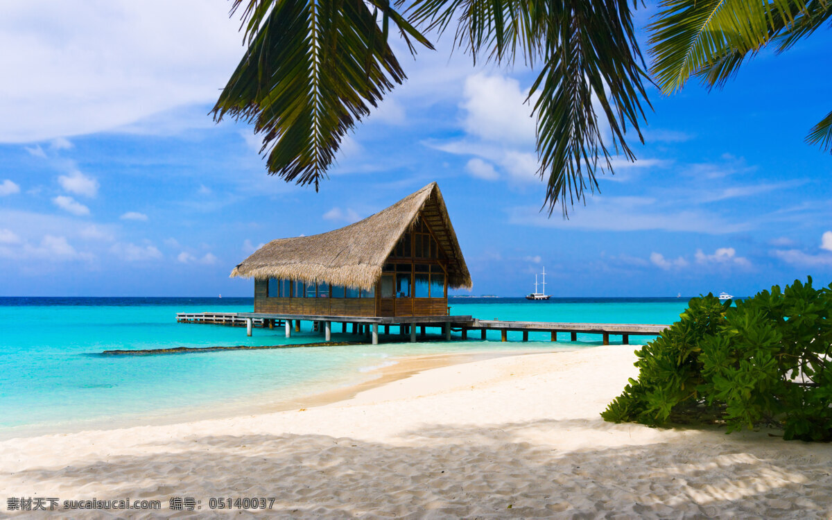 海滩 白云 大海 度假 海 海岛 蓝天 旅游 马尔代夫 滩 椰树 热带海岛 热带 天堂 沙滩 美丽 自然风景 自然景观 psd源文件
