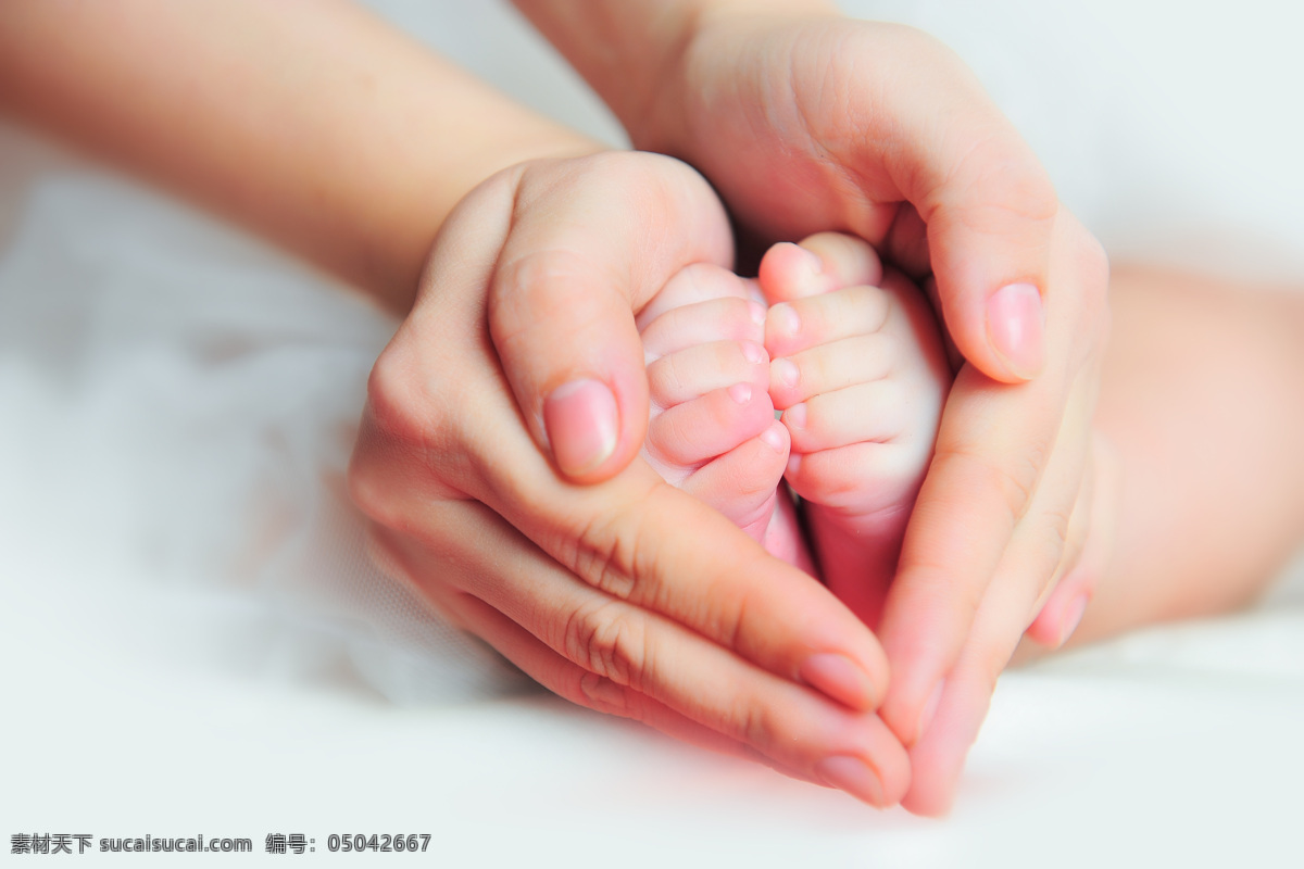 双手 捧 婴儿 小脚 婴儿的脚 小脚丫 宝宝的脚 小孩子 小脚板 双手捧着 手势 呵护 婴幼儿 人体器官图 人物图片