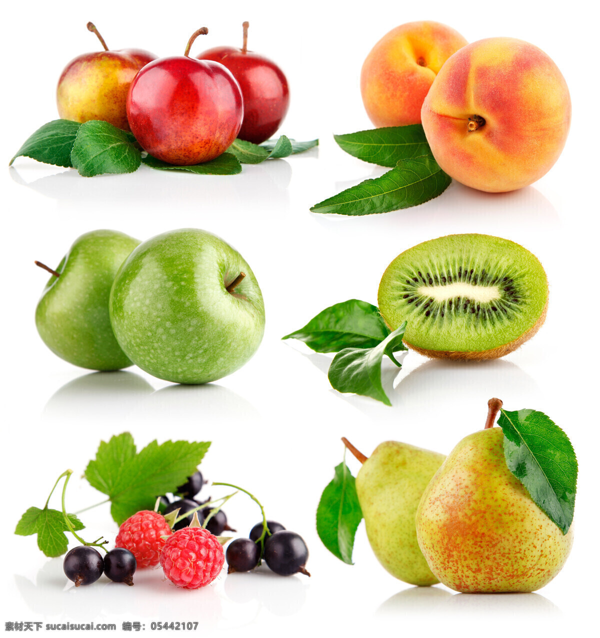 高清 水果 杏子 青苹果 猕猴桃 梨 水果摄影 水果素材 水果蔬菜 水果图片 餐饮美食