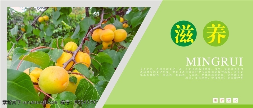 水果海报图片 水果海报 水果 水果店海报 水果销售 新鲜水果 时令水果 果蔬海报 水果海报模板