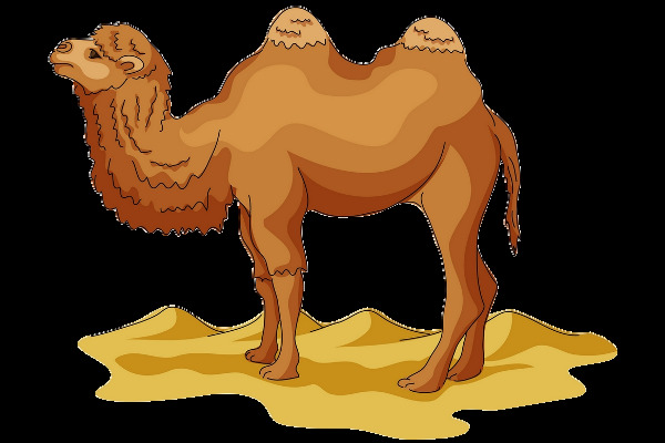 手绘 沙漠 骆驼 免 抠 透明 图 层 沙漠动物 可爱动物图片 家禽 家畜 动物大全 野生动物 世界 上 最 萌 动物 可爱小狗图片 死人 小 动物图片 野生动物图片 萌宠图片