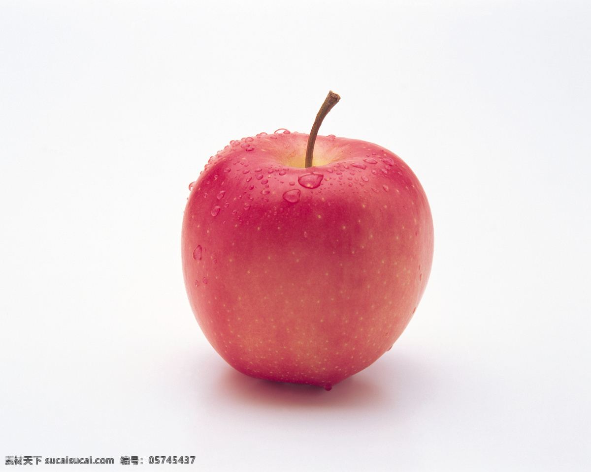 高清 苹果 红苹果 水滴 生物世界