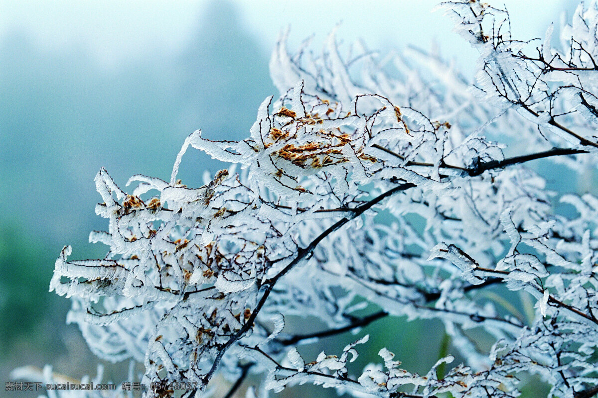 冬天 雪景 背景 冬天雪景 风光 风景 季节 摄影图库 自然 自然风景 自然景观 生活 旅游餐饮