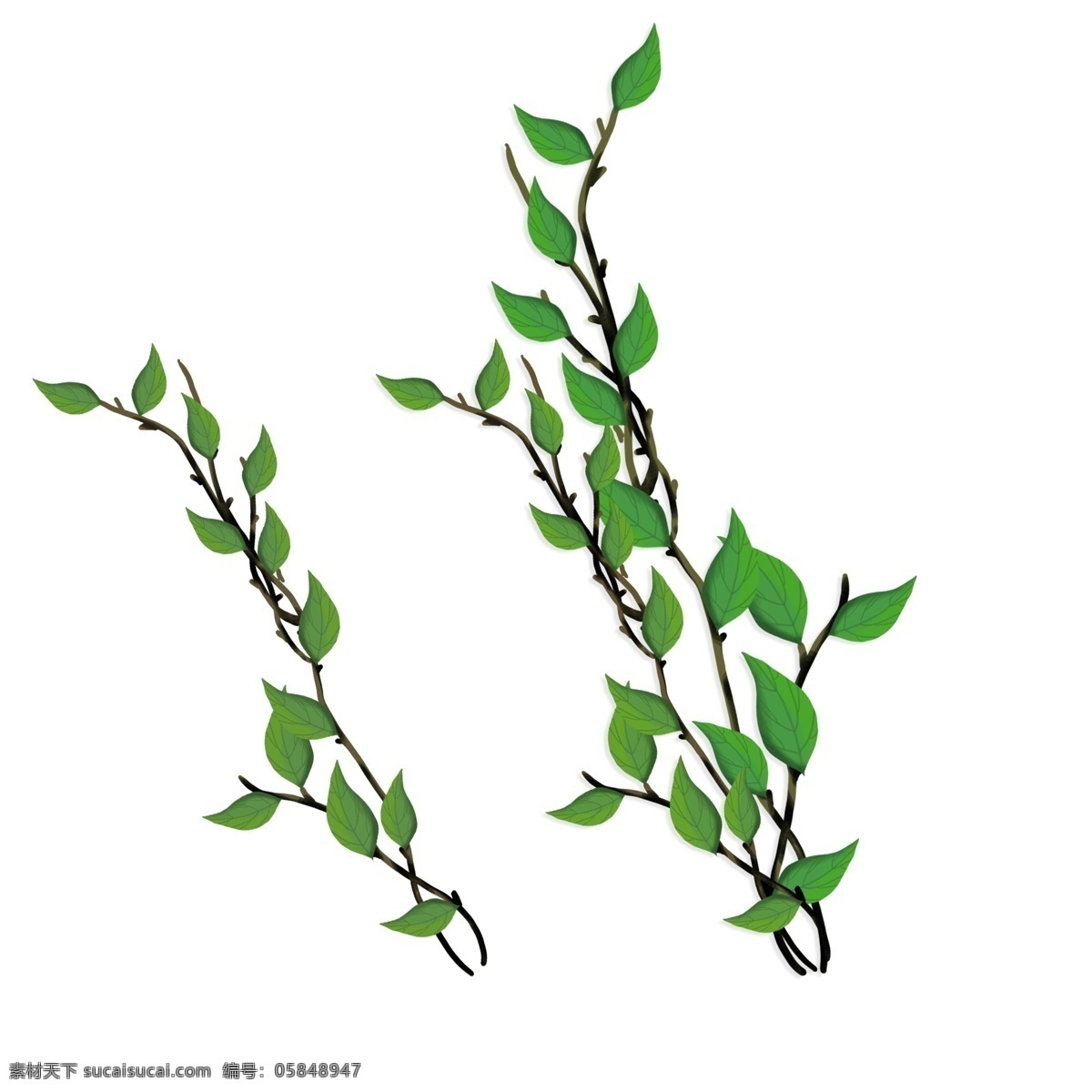 藤蔓 婚礼素材 绿植 常青藤 叶子 分层