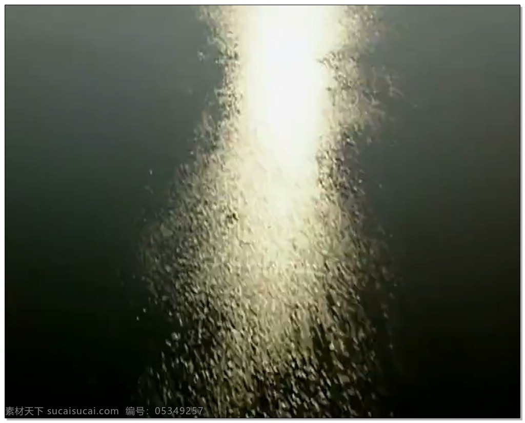 长江 河水 视频 高清视频素材 视频素材 动态视频素材 水流 清澈