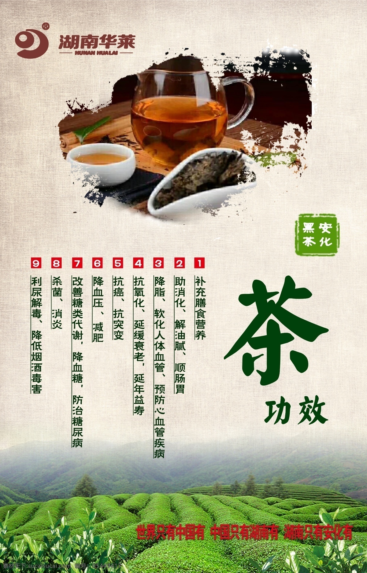 茶 宣传彩页 海报 黑茶 宣传 彩页 湖南华莱写真 分层
