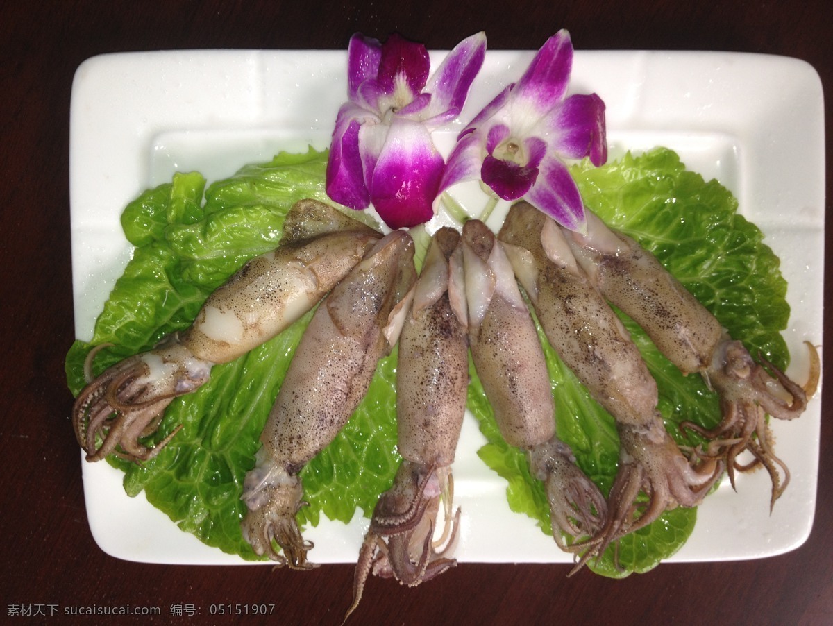 鱿鱼免费下载 海鲜 海洋生物 火锅 美食 生物世界 食物 铁板 鱿鱼 海兔 psd源文件 餐饮素材