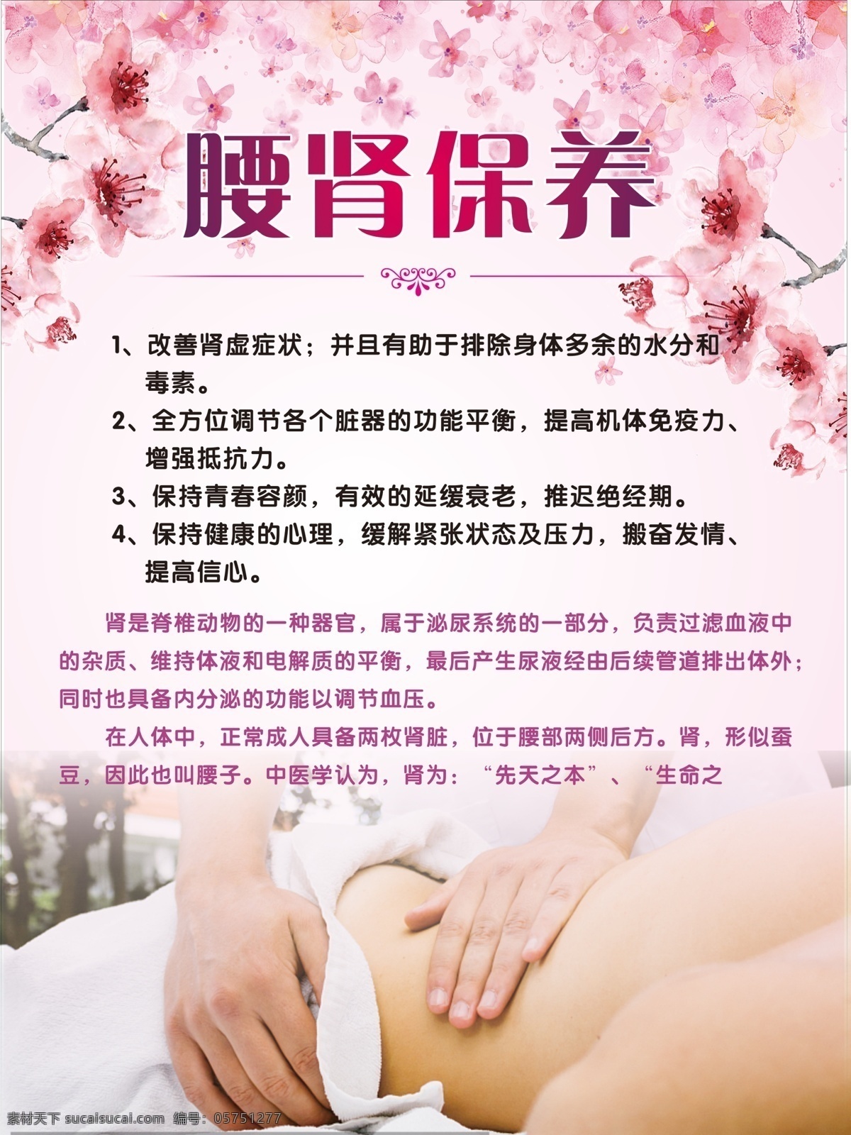 中医养生 身体护理 保养 美容宣传 广告 贴画 海报 功效 好处 腰肾保养